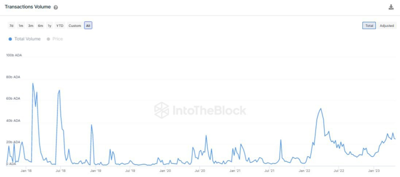 IntoTheBlock: Сеть Cardano уверенно растет с начала 2023 года