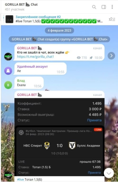 GORILLA BET — платные прогнозы на спорт в ТГ, отзывы