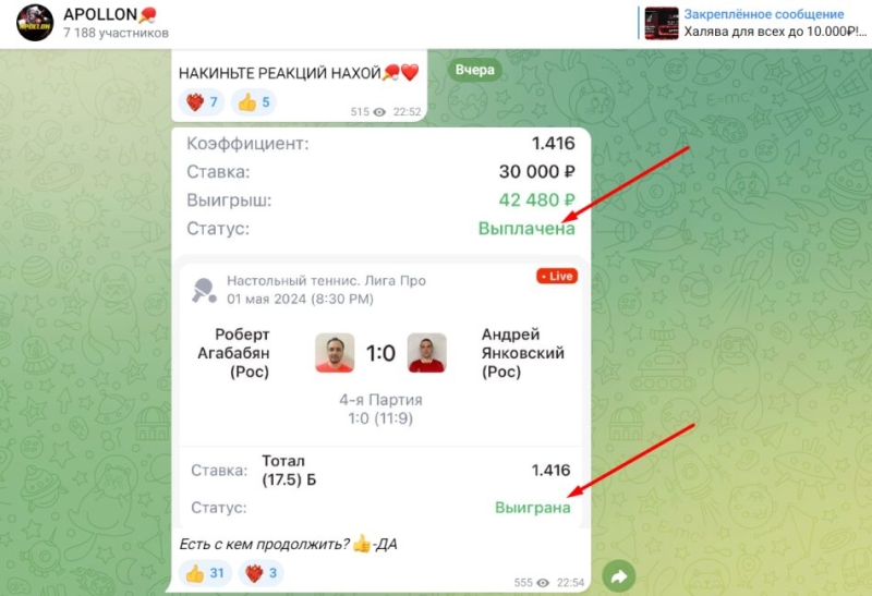 APOLLON — прогнозы на настольный теннис в ТГ, отзывы